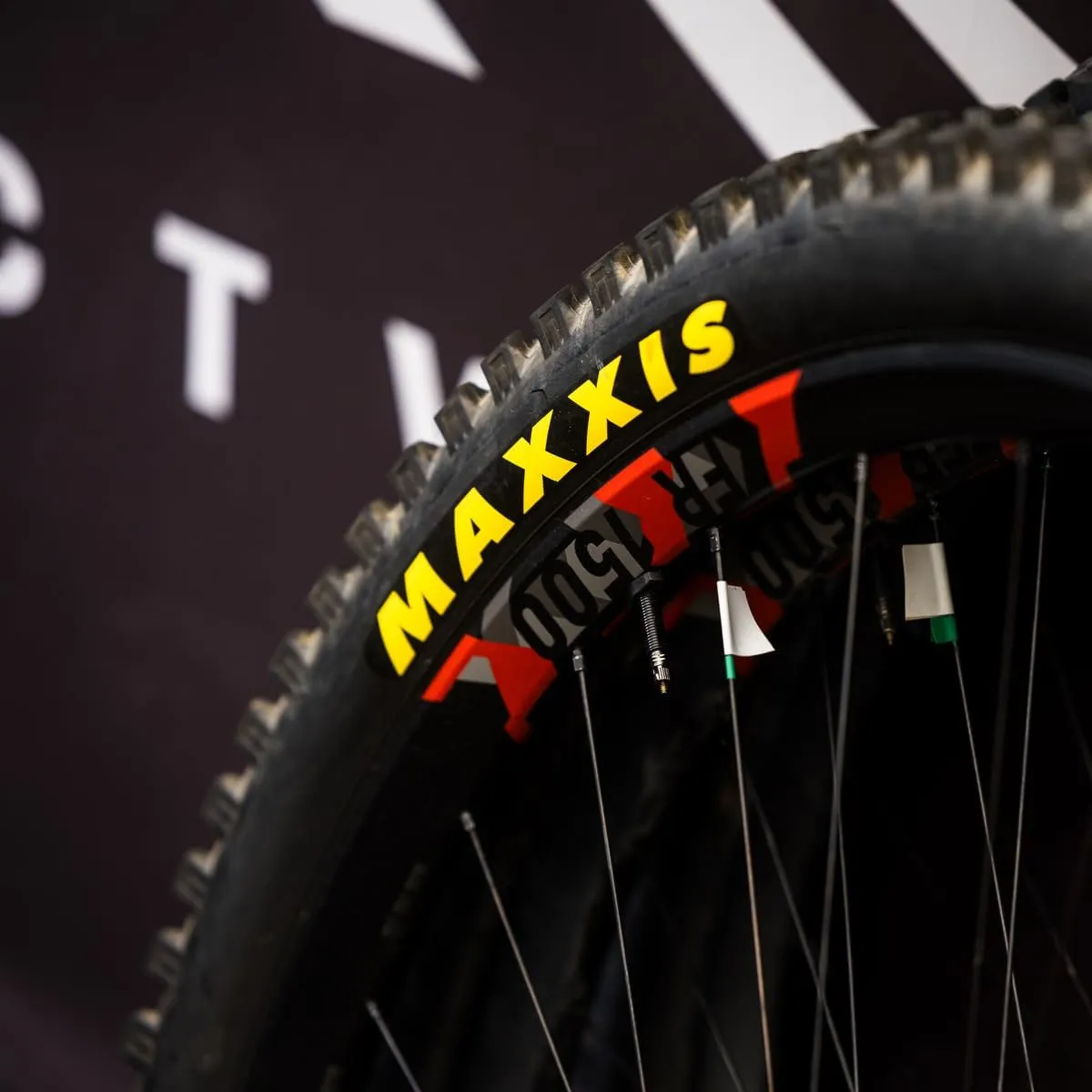Maxxis Dissector - 3C MaxxTerra - 29, 27.5 - EXO, EXO , DD - E25 Rating, Tubeless | Troy Brosnans Signature Model